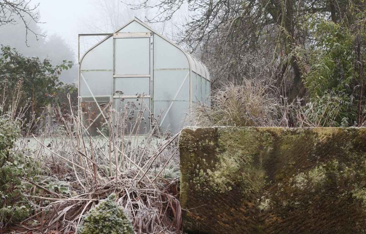 Jardin en hiver avec neige